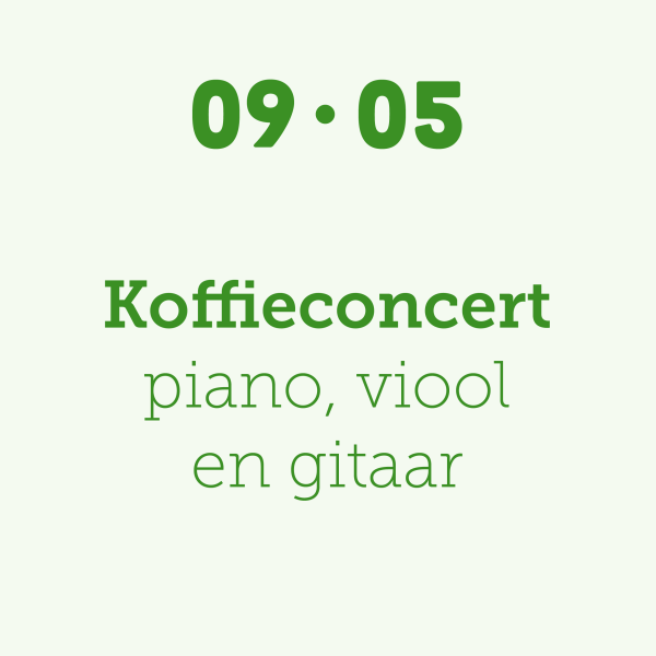 Koffieconcert piano, viool & gitaar